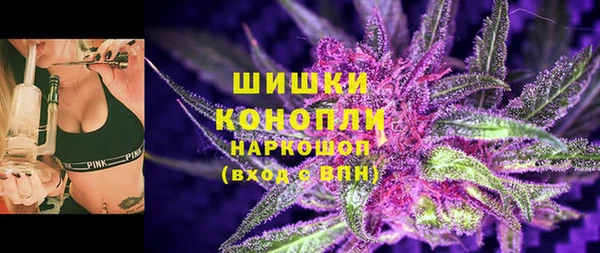 ECSTASY Гусев